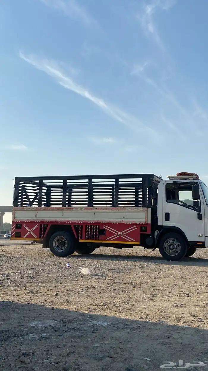 دينه دانه دينا 0