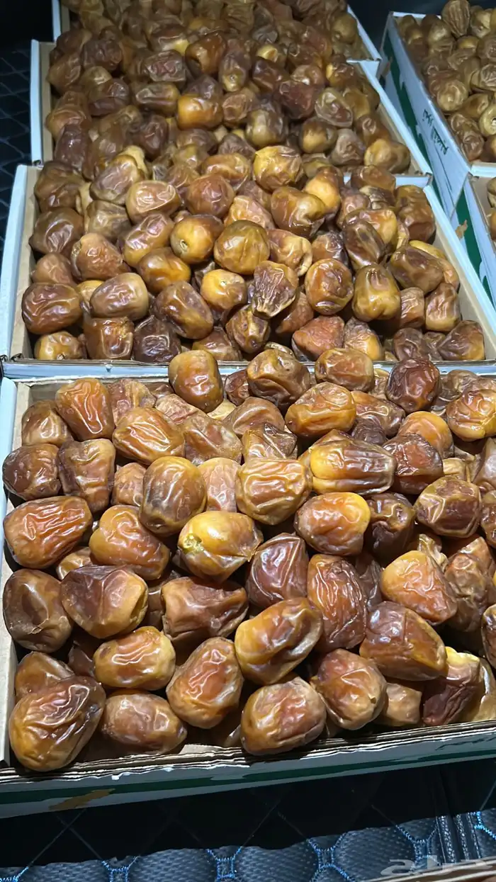 تمر سكري مفتل و جلكسي ملكي 8