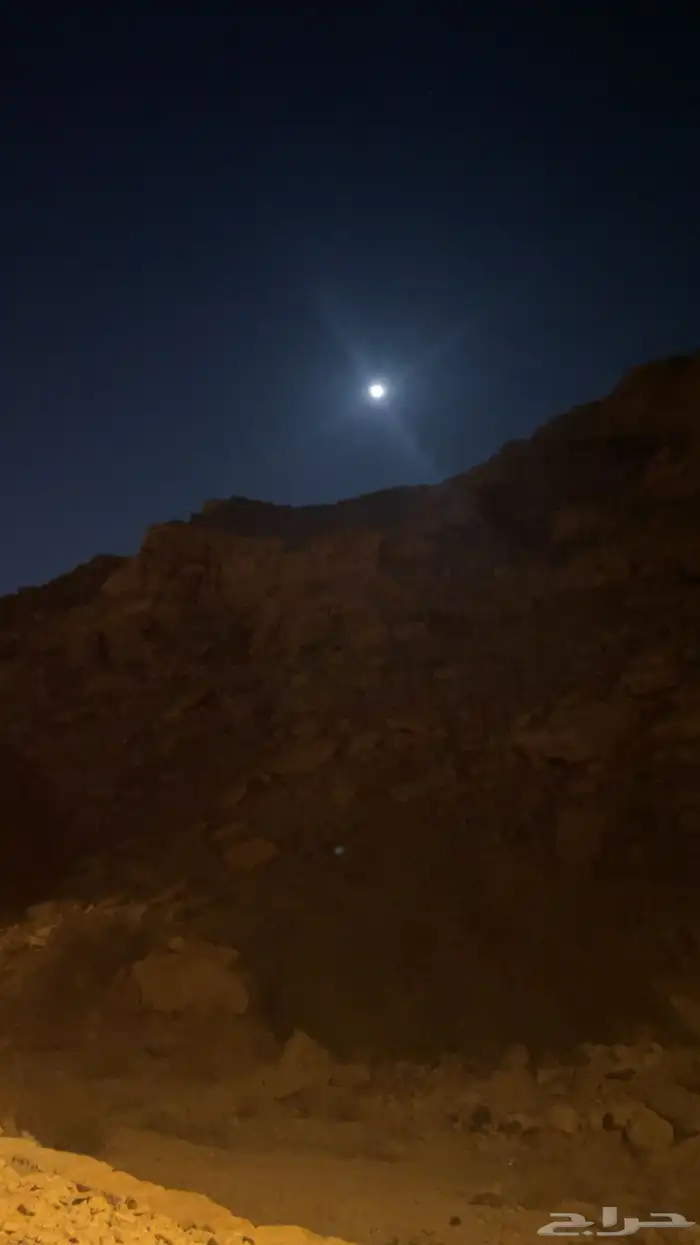 محامي مرخص لجميع القضايا 0