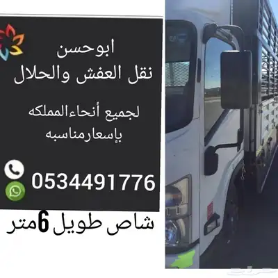 دينه ديناء راجع للباحه 0