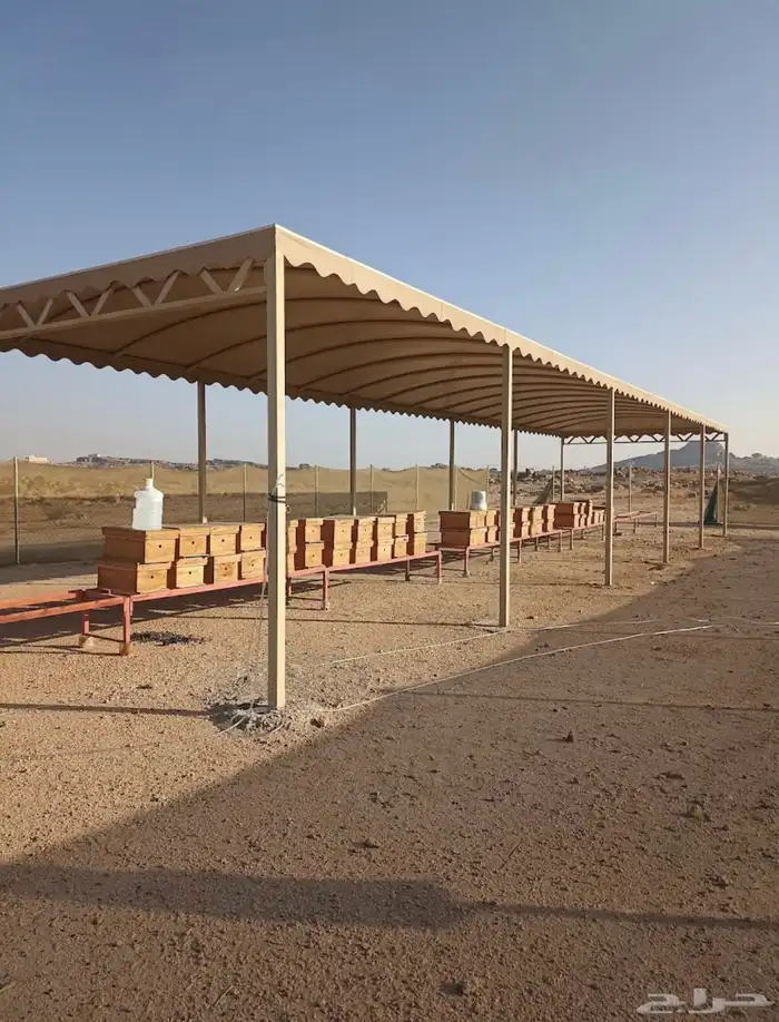مظلات وسواتر سندوش بنل غرف زجاجيه ومجالس جلسات تنسيق حدائق 5