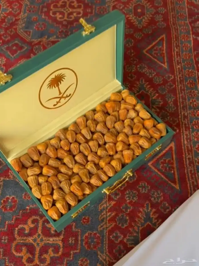 تمر سكري مفتل و جلكسي ملكي 7