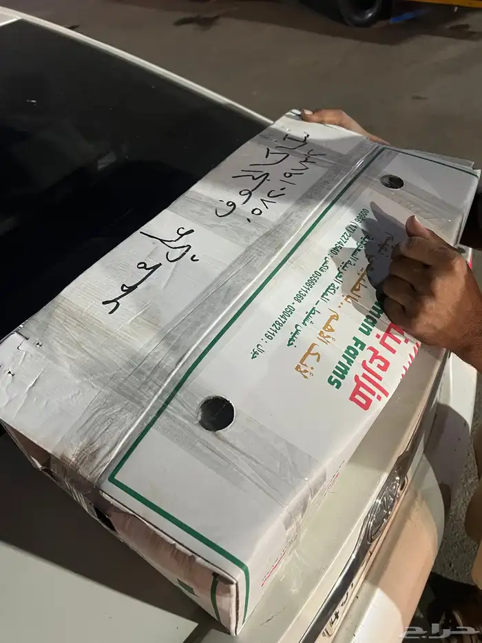 مقصات توروس 2020-2025 كراسي مكينة 14