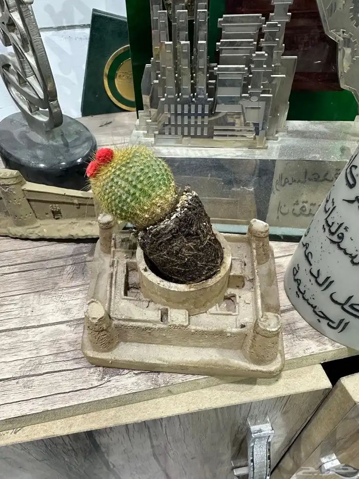 دروع تذكارية 43