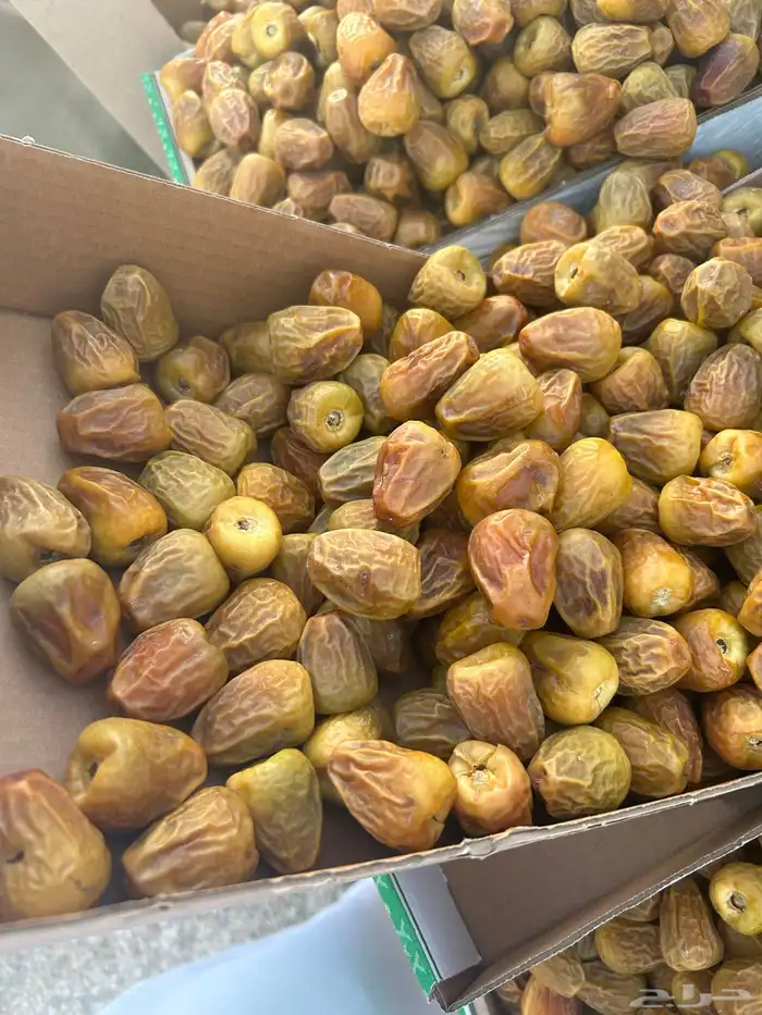 تمر سكري مفتل و جلكسي ملكي 2