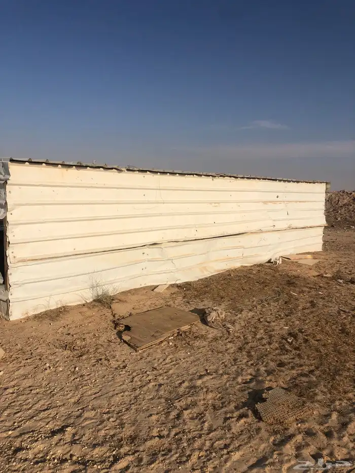 شينكو حلال للبيع 0