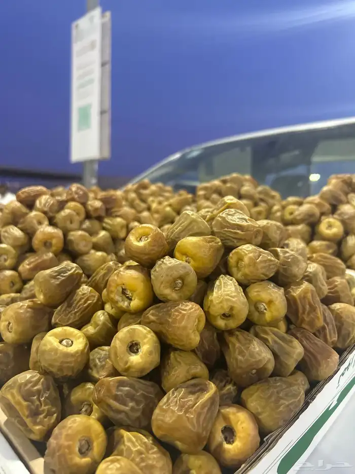 تمر سكري مفتل و جلكسي ملكي 3