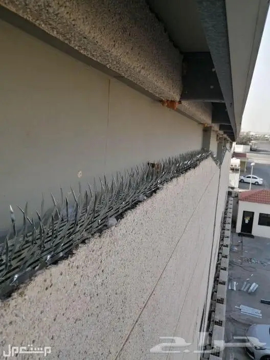 شركة تنظيف مجالس تنظيف فلل تنظيف شقق 6