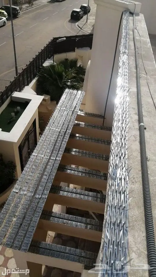 شركة تنظيف مجالس تنظيف فلل تنظيف شقق 12