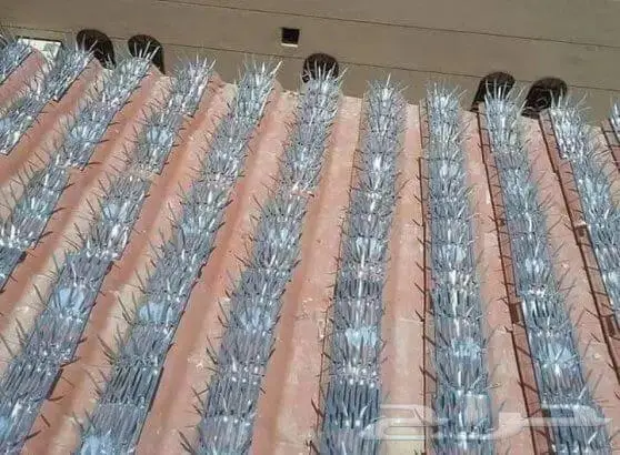 شركة تنظيف مجالس تنظيف فلل تنظيف شقق 9