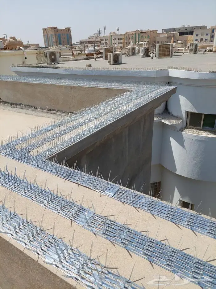 شركة تنظيف مجالس تنظيف فلل تنظيف شقق 13