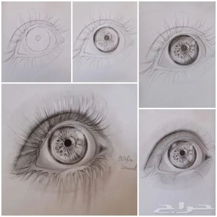 الرسامة وفاء جمال كورس تعليم رسم احترافي 3
