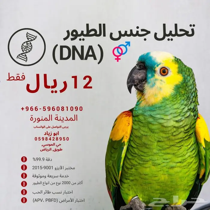 خدمة تحليل الطيور (تحليل DNA) 0