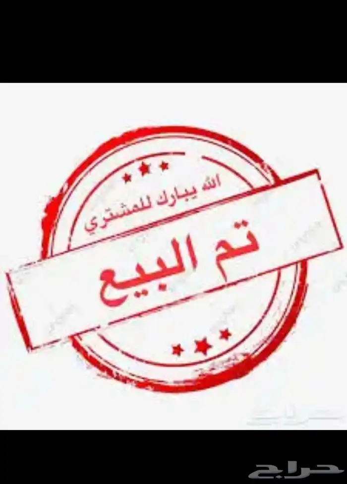 شامو ياباني 4