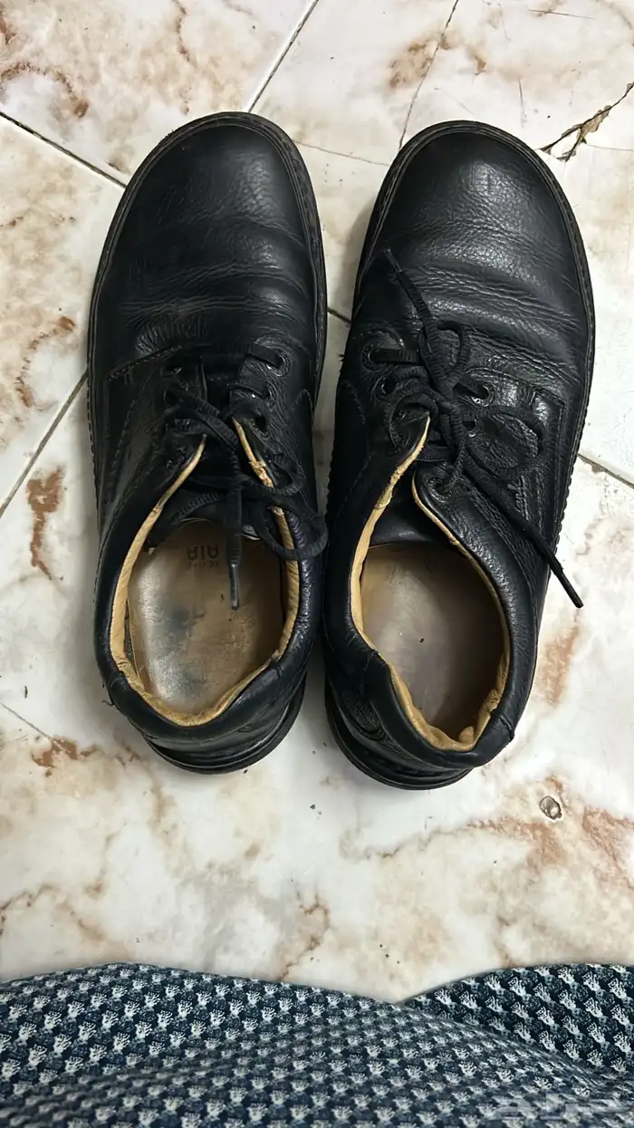 الرياض 0