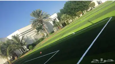 عشب صناعي العاب اطفال غراء ملاعب صناعي بادل سيلكا بادل مطاط 47