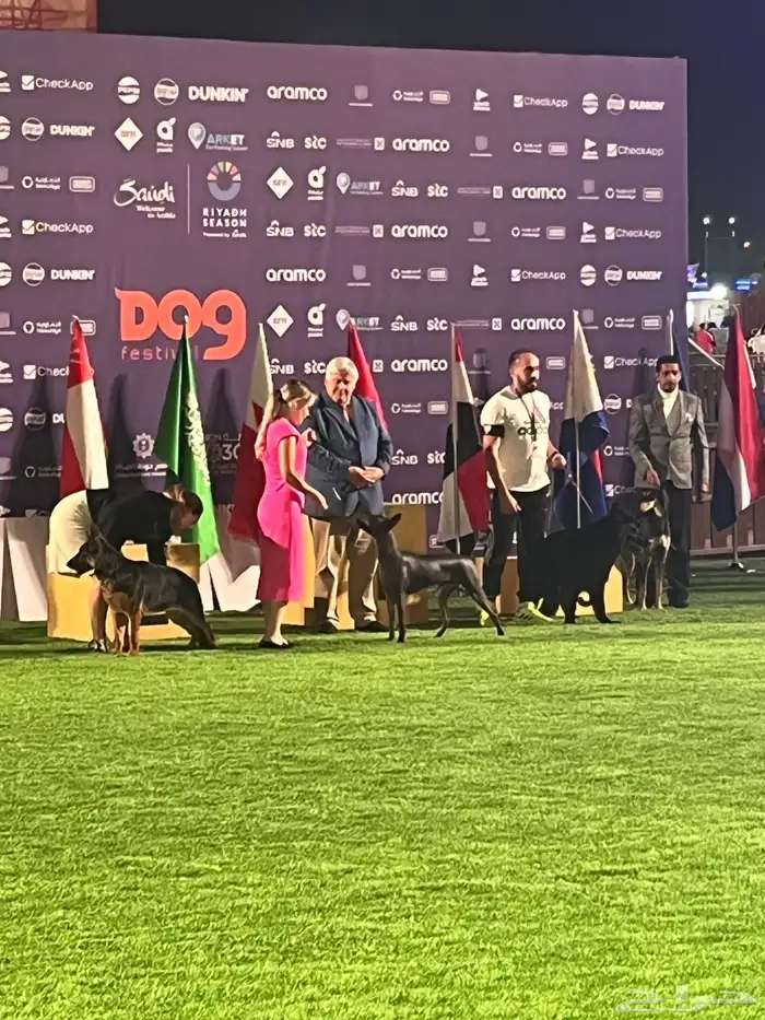 مدرب كلاب 1