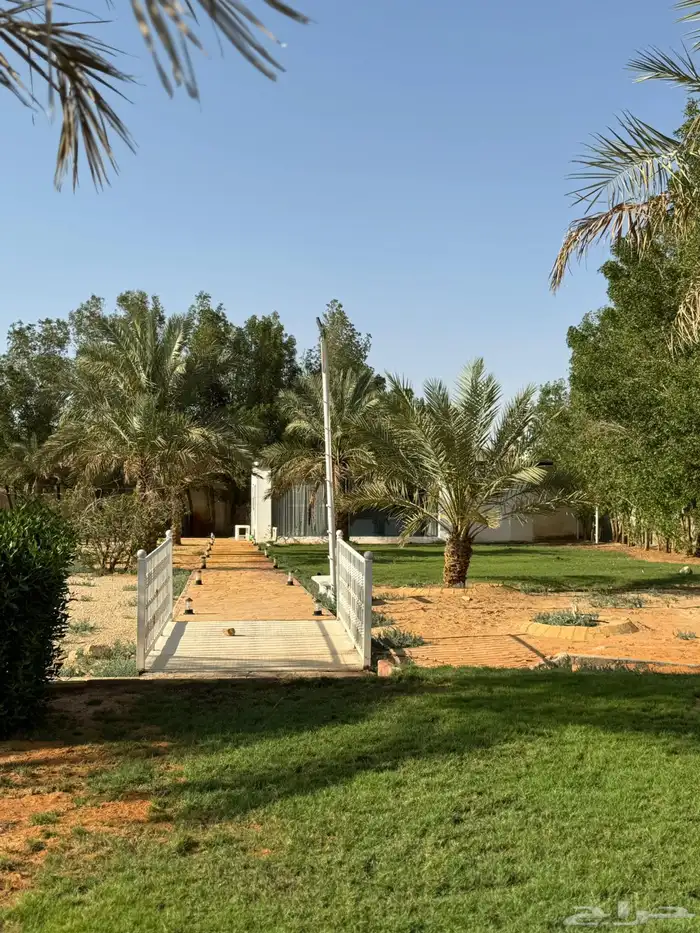 مزرعه لارا بالمزاحميه للاجار اليومي او السنوي 8