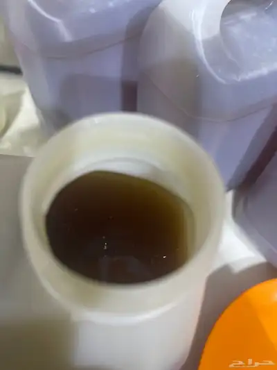 عسل سدر من على ذمة راعيه انه اصلي 1
