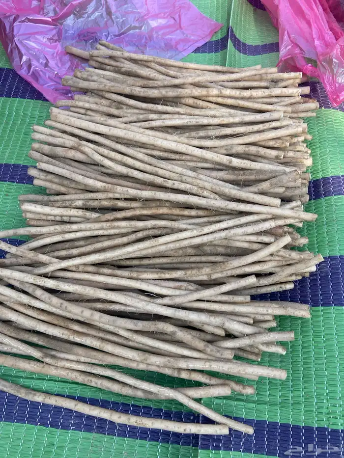مساويك الاراك ابو حنش جمله وبسعر مناسب 3