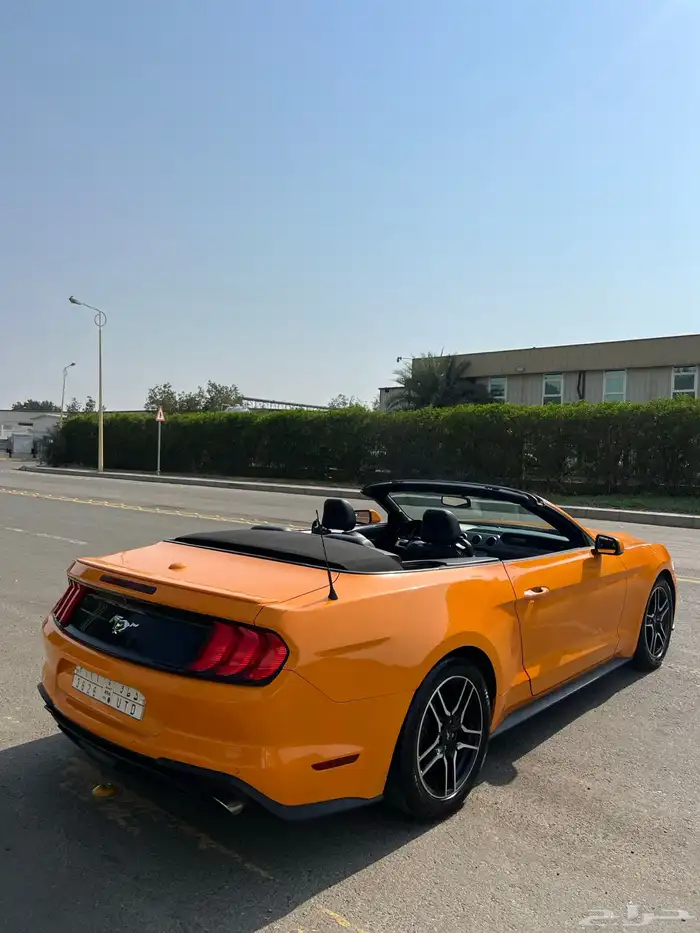 موستنق كشف بريميوم 9