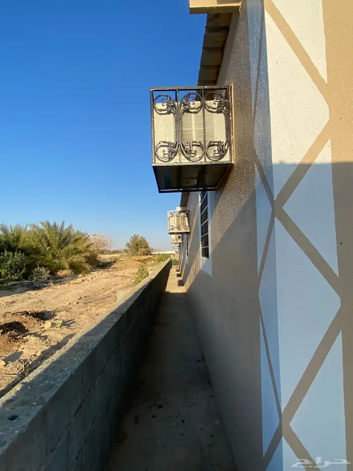 مجمع سكن عزاب وعمالة جديد للايجار 6
