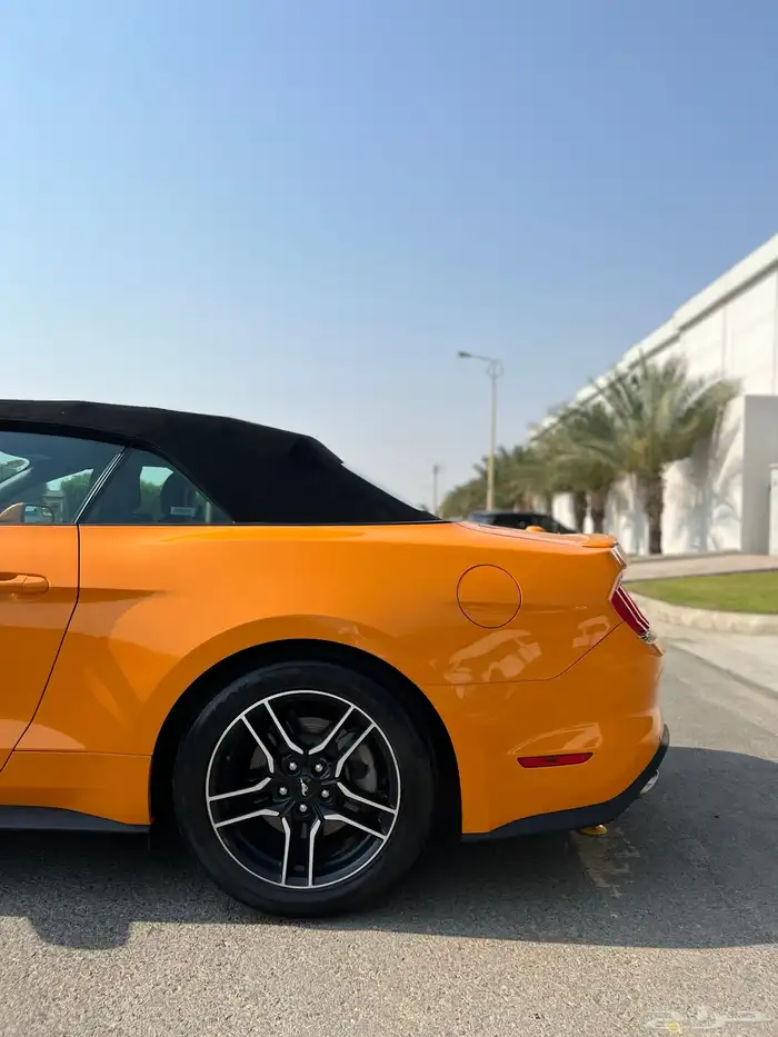 موستنق كشف بريميوم 6