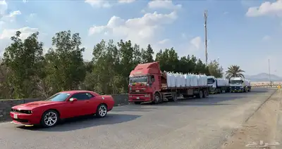 عشب صناعي العاب اطفال غراء ملاعب صناعي بادل سيلكا بادل مطاط 64