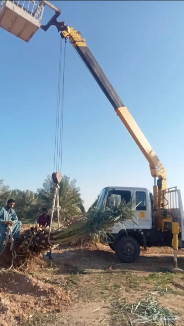 كرين ونش سطحة 5 طن 3