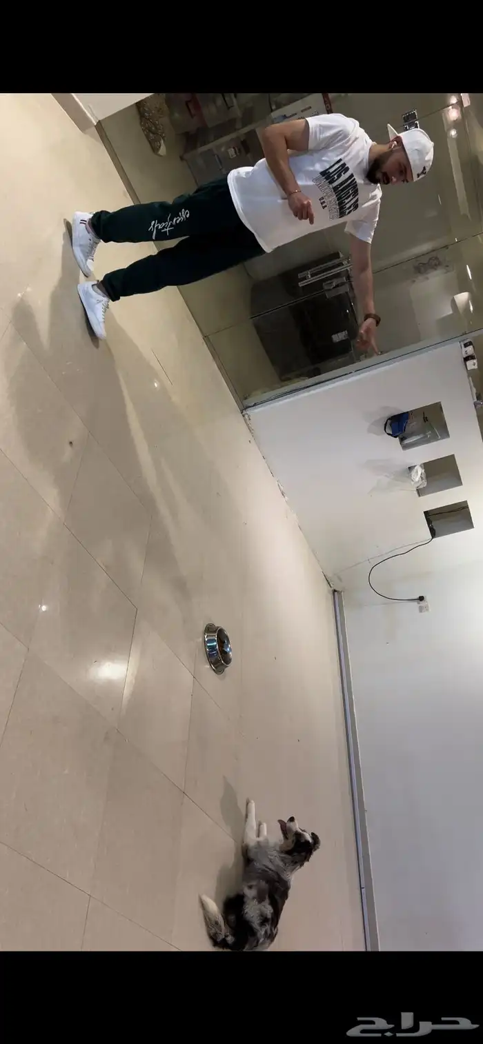 مدرب كلاب 21
