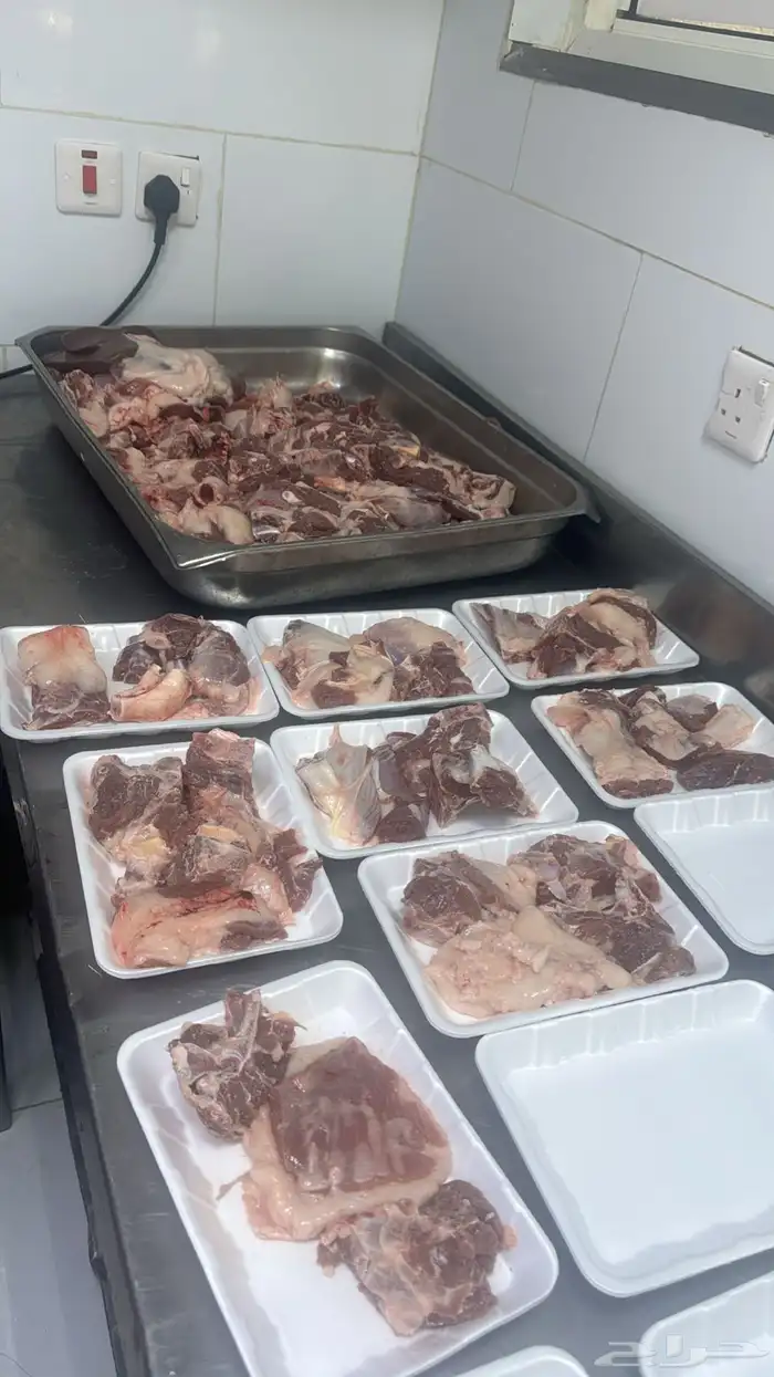 ذبايح ابو فهد شي فاخر من الاخر 2