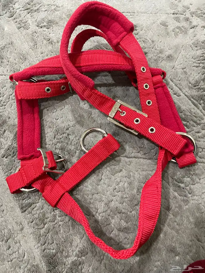 رشمه خيل و استاند جوال لا تصوير وقت الركوب و محسه ترويش 1