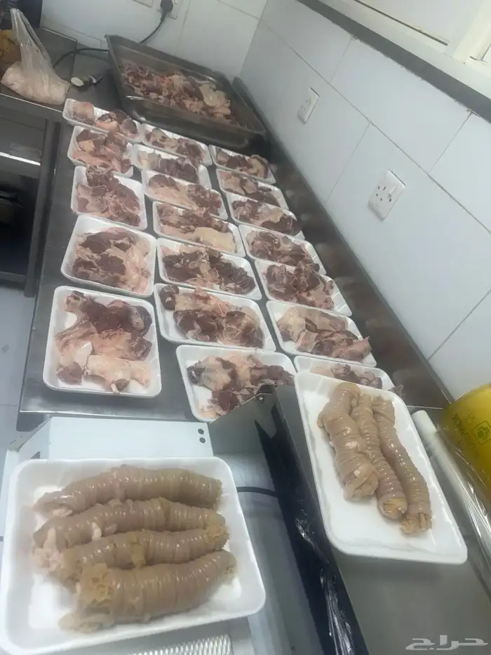 ذبايح ابو فهد شي فاخر من الاخر 4