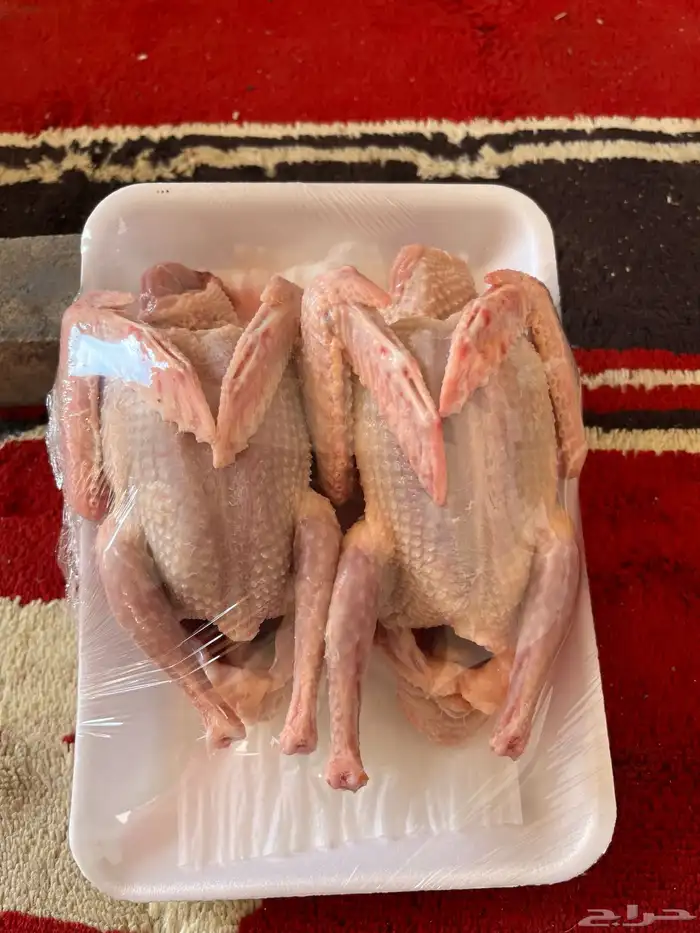 حمام فرنسي لاحم 1