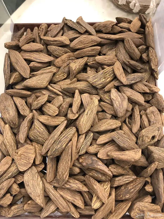 عود مروكي المجالس طبيعي محسن 0