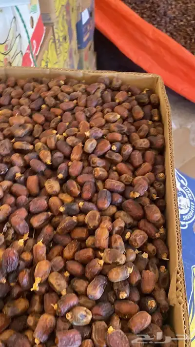 تمر برني يصلح للاعلاف ويصلح لتصنيع 0