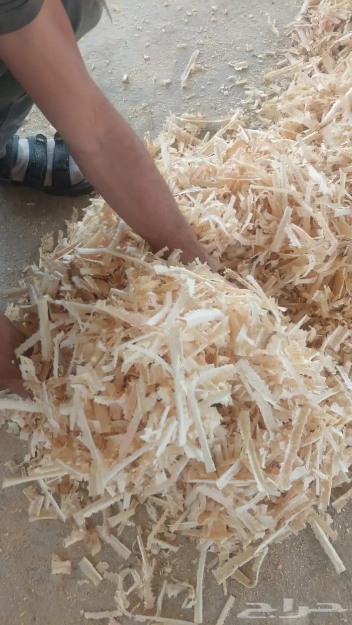 نشارة خيل فاخرة 0