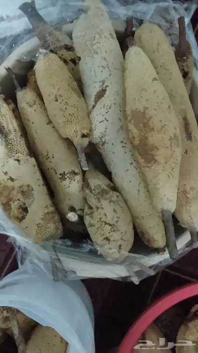 عسل وحشي عسل حر عسل اندنوسي 2