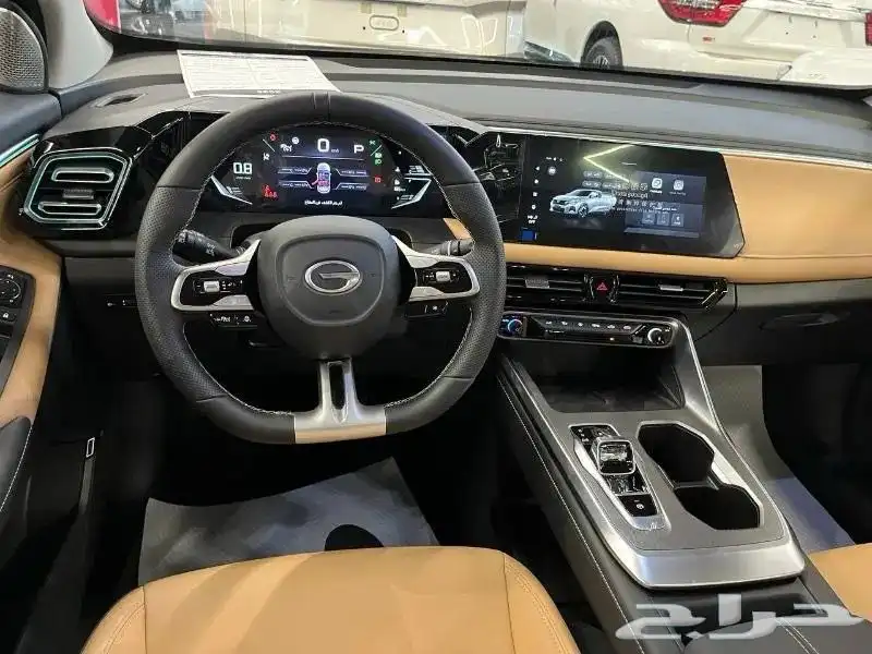 جي اي سي ام زوم 2025 GS3 GAC (جميع الفئات ) 6