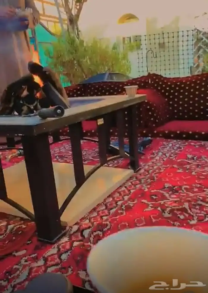 استراحة اغصان الوسام القراحين 15