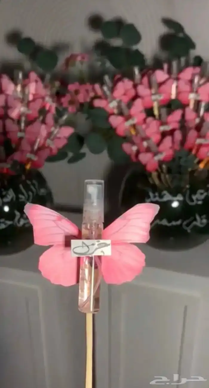 توزيع  هدايا 6