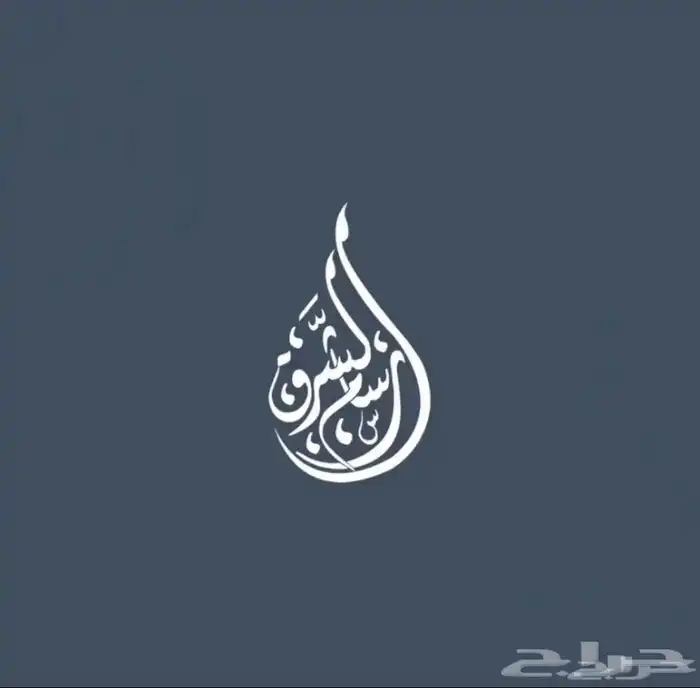 تصميم شعار لوقو احترافي 1