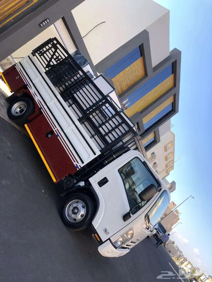 دينا جديده لنقل 0