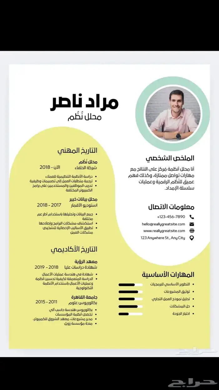 تصميم سيرة ذاتية بشكل احترافي و اقل الاسعار 2