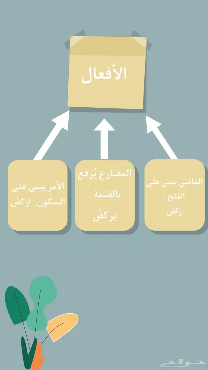 مطويات و مشاريع و واجبات ابتدائي متوسط ثانوي بسعر مناسب 12