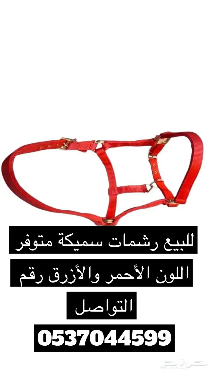 مستلزمات خيول رشمة 0