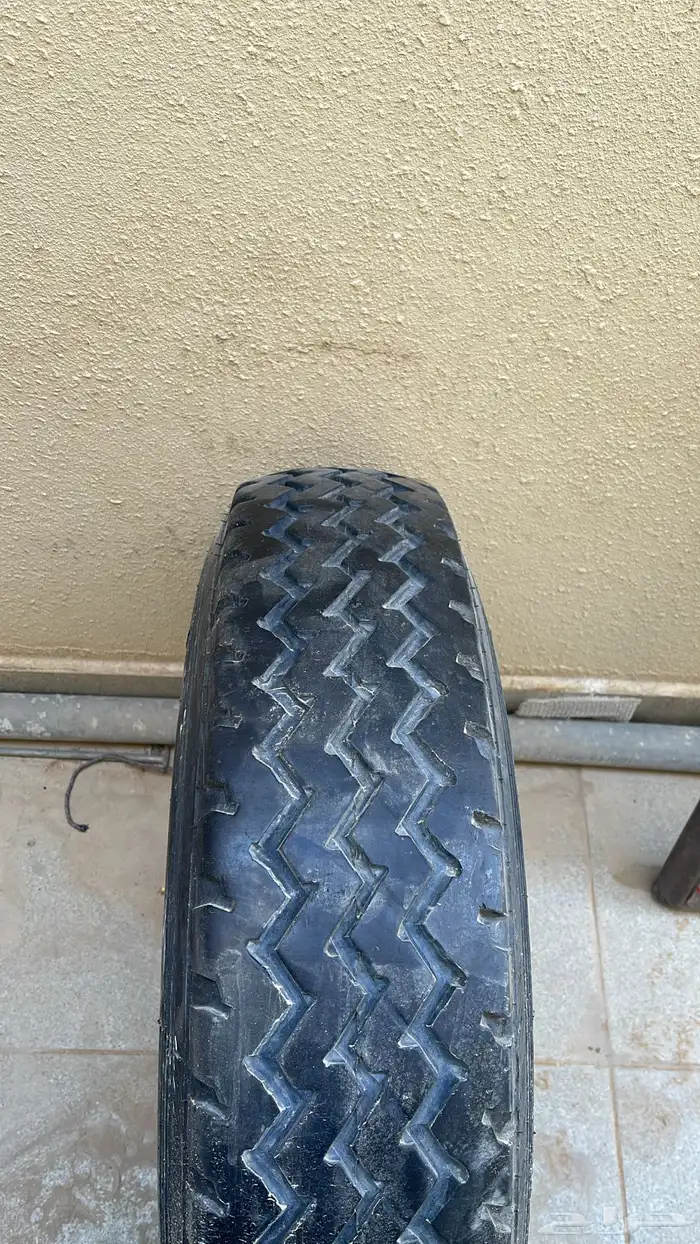 جنط شاص سلق 2