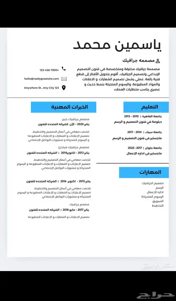 تصميم سيرة ذاتية بشكل احترافي و اقل الاسعار 4