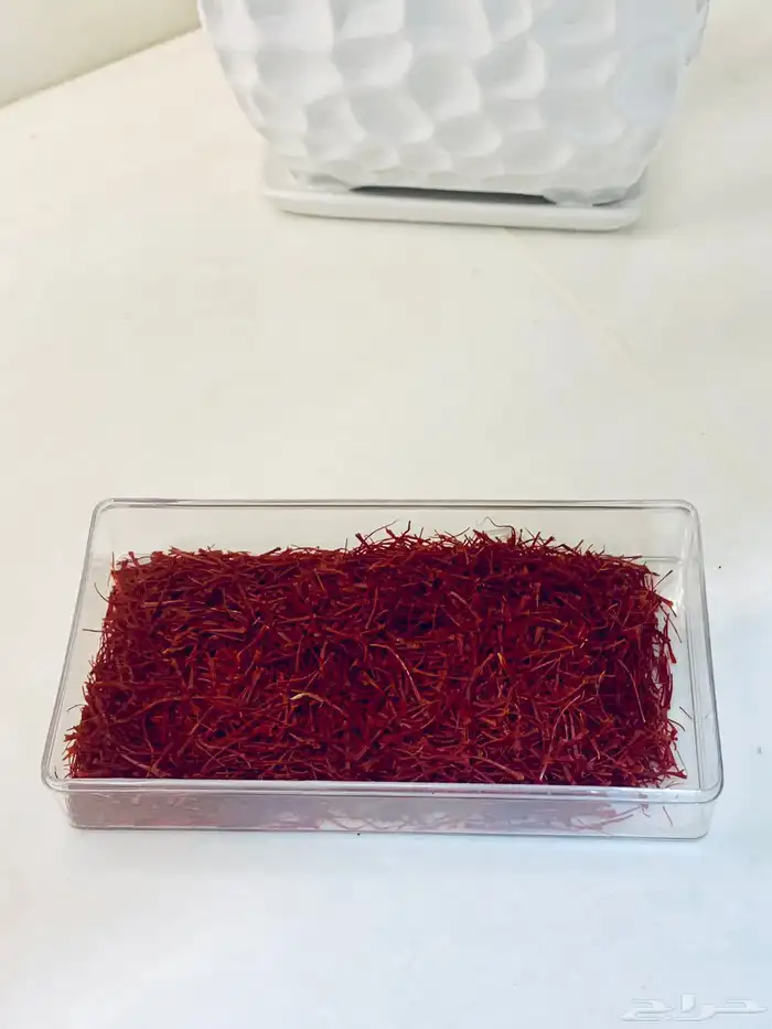 قهوة الشيخه 1