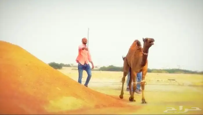 صانع مونتاج محترف 2